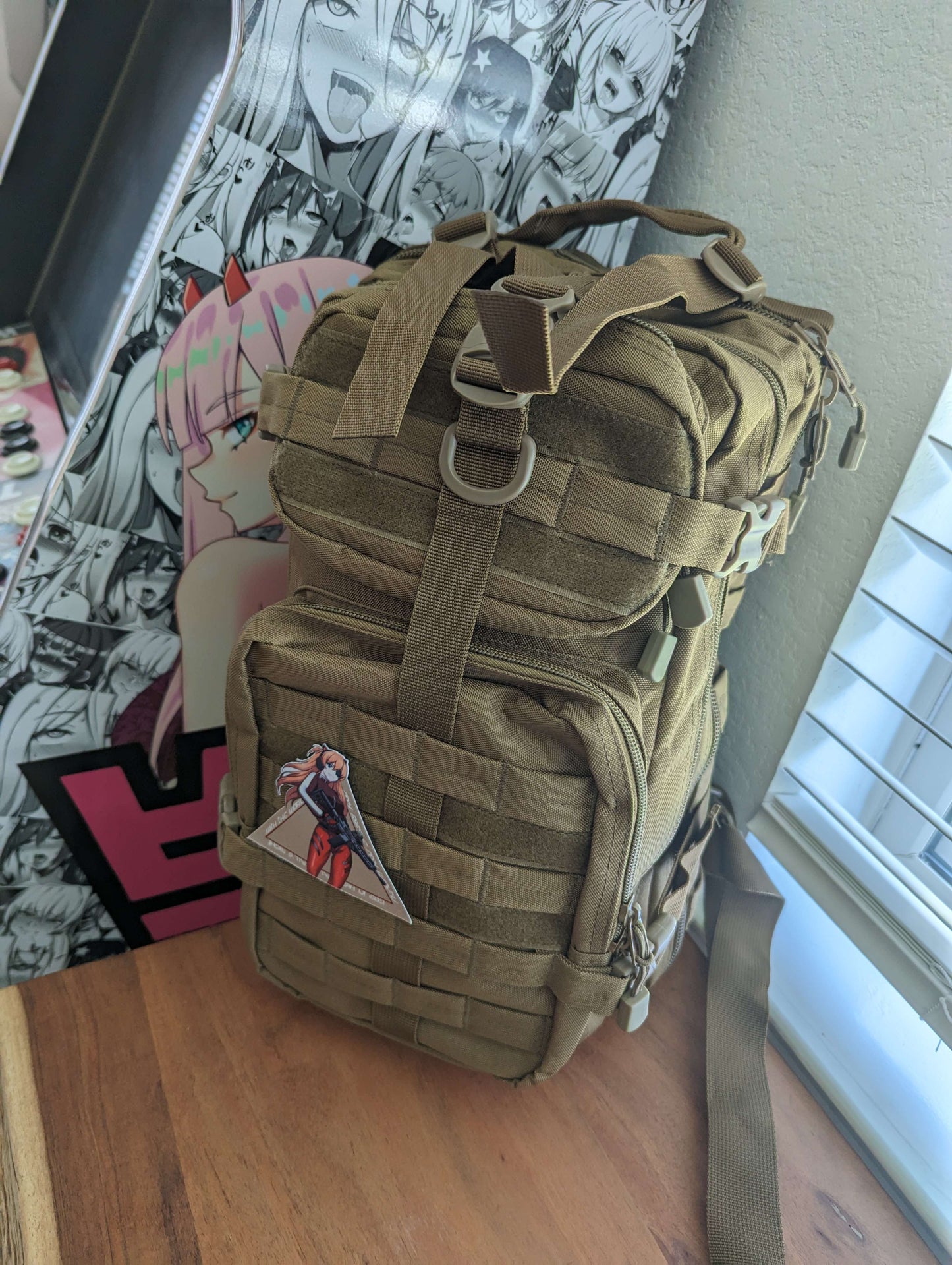 Assault pack