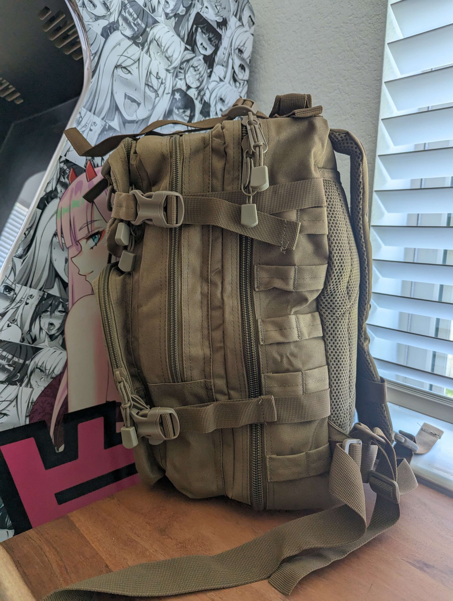 Assault pack