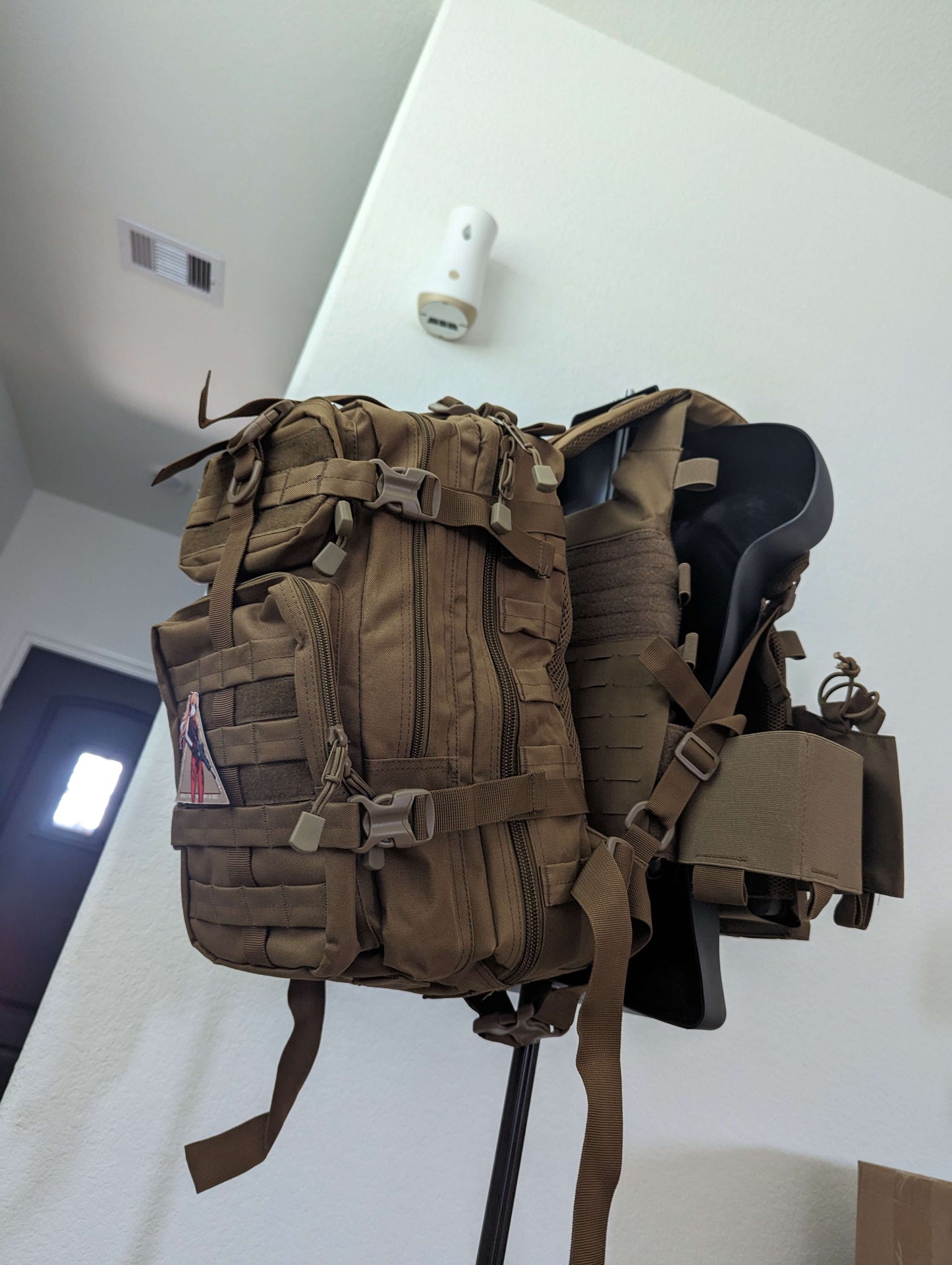 Assault pack